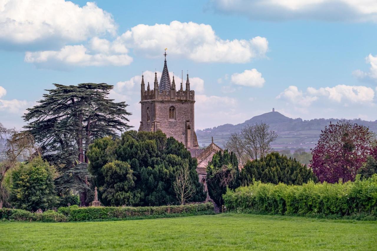 The Little Cottage - Peaceful, Dog Friendly Cottage In 5 Acres Glastonbury Exteriér fotografie