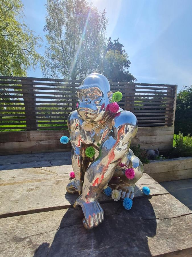 The Little Cottage - Peaceful, Dog Friendly Cottage In 5 Acres Glastonbury Exteriér fotografie