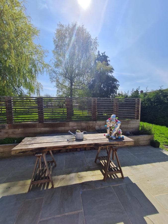 The Little Cottage - Peaceful, Dog Friendly Cottage In 5 Acres Glastonbury Exteriér fotografie