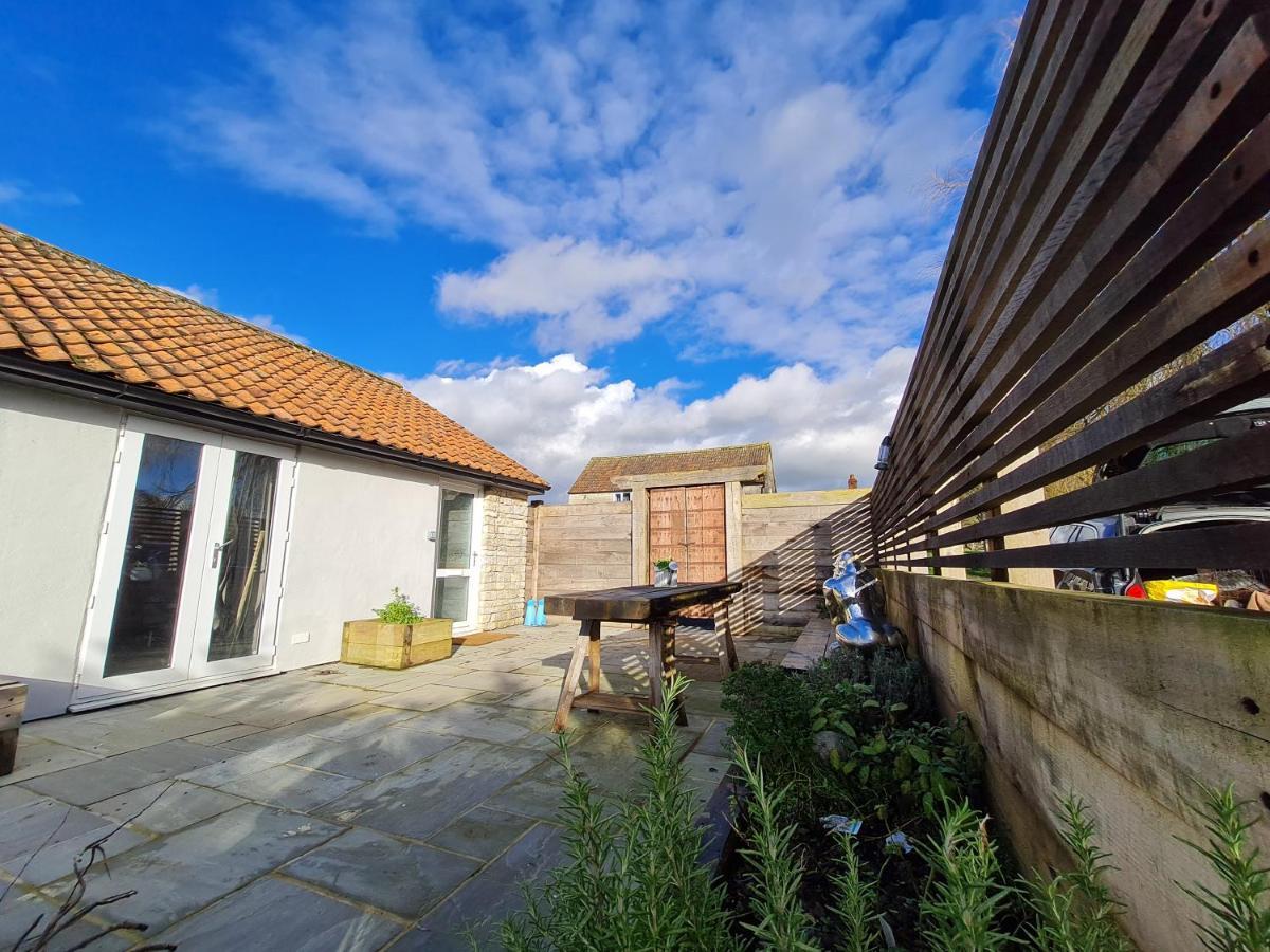 The Little Cottage - Peaceful, Dog Friendly Cottage In 5 Acres Glastonbury Exteriér fotografie