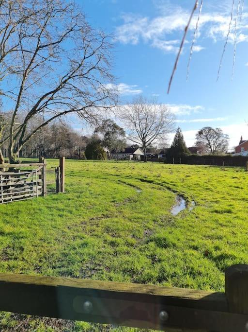 The Little Cottage - Peaceful, Dog Friendly Cottage In 5 Acres Glastonbury Exteriér fotografie