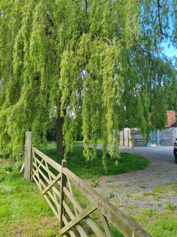 The Little Cottage - Peaceful, Dog Friendly Cottage In 5 Acres Glastonbury Exteriér fotografie